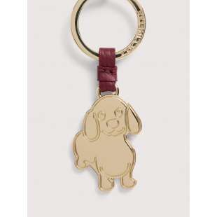 Coccinelle Basic Metal Ribes E2M9K41G402_R52 2